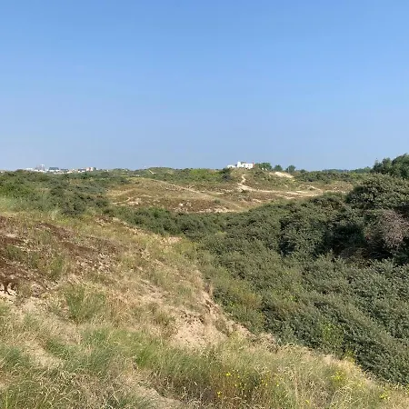 Apartment Lizzie's Studio